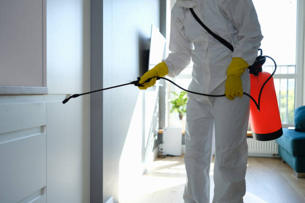 Best Attic Mold Remediation in Gresham, OR